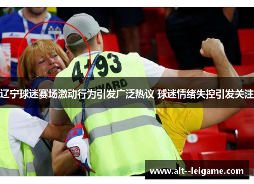 辽宁球迷赛场激动行为引发广泛热议 球迷情绪失控引发关注 辽宁球迷赛场激动行为引发广泛热议 球迷情绪失控引发关注