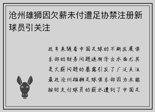 沧州雄狮因欠薪未付遭足协禁注册新球员引关注